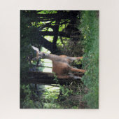 Whitetail Doe komt uit de Bossen Legpuzzel (Verticaal)