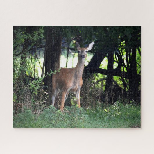 Whitetail Doe komt uit de Bossen Legpuzzel (Horizontaal)