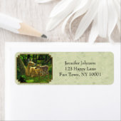 Whitetail Fawn and Doe Light Green Etiket (Insitu)