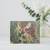 Whitetail Fawn Briefkaart (Staand voorkant)