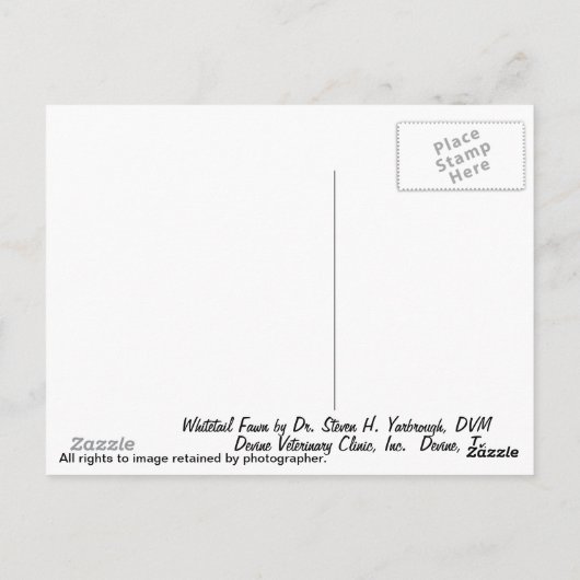 Whitetail Fawn Briefkaart (Achterkant)
