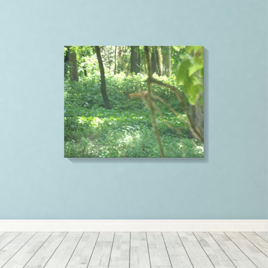 Whitetail-herder Canvas Afdruk (Insitu (Houten vloer))