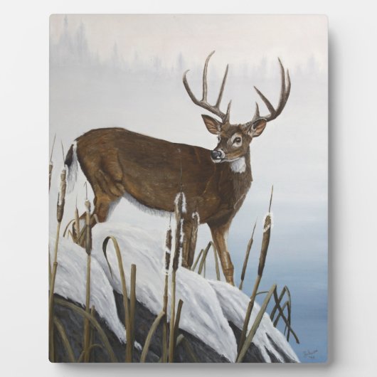 Whitetail-herder Fotoplaat (Voorkant)