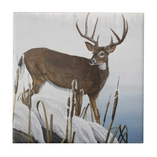 Whitetail herder tegeltje (Voorkant)