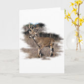 Whitetail hert in het veld kaart (Gele Bloem)