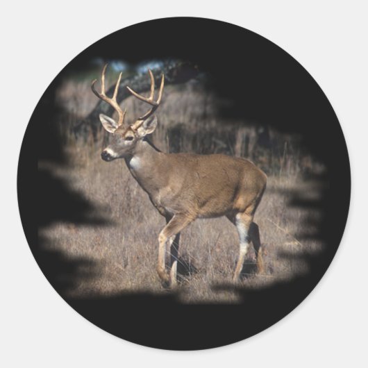 Whitetail hert in het veld ronde sticker (Voorkant)