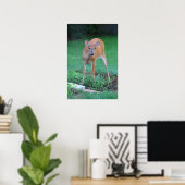 Whitetail hert, Ohio Poster (Thuiskantoor)
