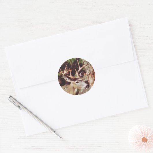 Whitetail Herten (Buck) Sticker (Envelop)