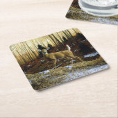 Whitetail Herten Doe in Herfst Bos Kartonnen Onderzetters (Schuin)