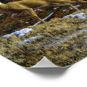 Whitetail Herten Doe in Herfst Bos Poster (Hoek)