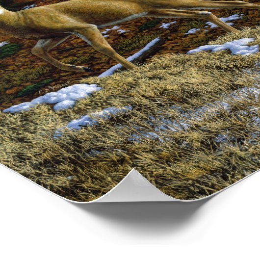 Whitetail Herten Doe in Herfst Bos Poster (Hoek)