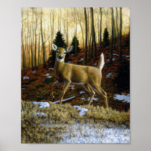 Whitetail Herten Doe in Herfst Bos Poster