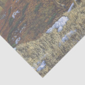 Whitetail Herten Doe in Herfst Bos Tissuepapier (Detail)