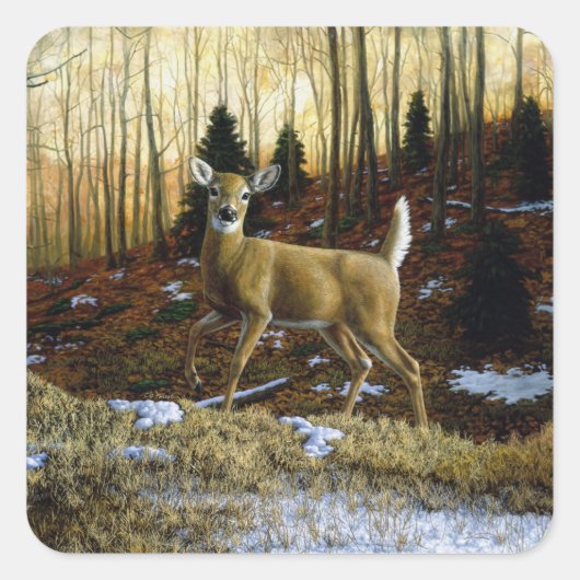 Whitetail Herten Doe in Herfst Bos Vierkante Sticker (Voorkant)
