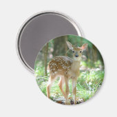 Whitetail Herten Fawn Magnet (Voorkant / Achterkant)