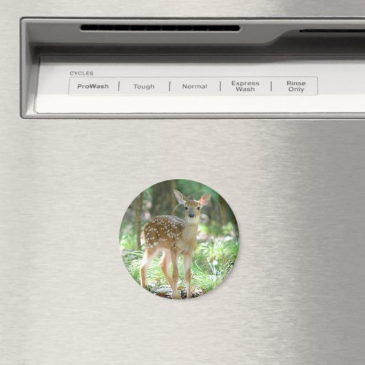 Whitetail Herten Fawn Magnet (Insitu (Vaatwasser))