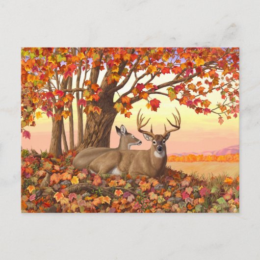 Whitetail Herten in Herfst New England Herfst Kleu Briefkaart (Voorkant)
