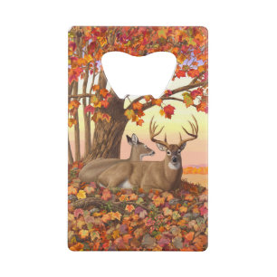 Whitetail Herten in Herfst New England Herfst Kleu Creditkaart Flessenopener