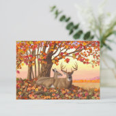 Whitetail Herten in Herfst New England Herfst Kleu Kaart (Staand voorkant)