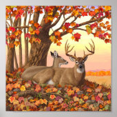 Whitetail Herten in Herfst New England Herfst Kleu Poster (Voorkant)