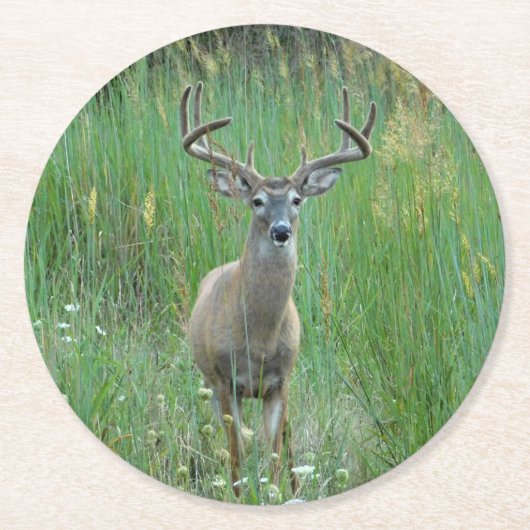 Whitetail Herten in Meadow Paper Onderzetter (Voorkant)