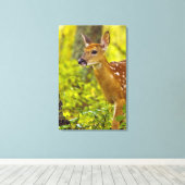 Whitetail-herten in Whitefish, Montana, Verenigde Canvas Afdruk (Insitu (Houten vloer))