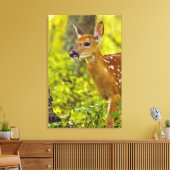 Whitetail-herten in Whitefish, Montana, Verenigde Canvas Afdruk (Insitu (Woonkamer))