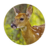 Whitetail-herten in Whitefish, Montana, Verenigde  Snijplank (Voorkant)