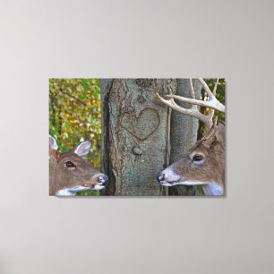 Whitetail Herten met hart op boom Canvas Afdruk