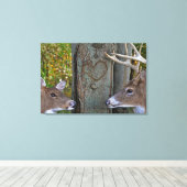 Whitetail Herten met hart op boom Canvas Afdruk (Insitu (Houten vloer))