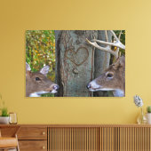 Whitetail Herten met hart op boom Canvas Afdruk (Insitu (Woonkamer))