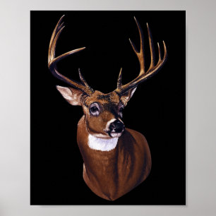 Whitetail Herten Portret Antlers Wildlife Animal G Poster