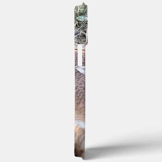 Whitetail Herten Telefoonhoesje Case-Mate iPhone Case (Achterkant / Rechts)