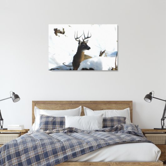 Whitetail Herten Winter Antlers Canvas Print (Insitu (Slaapkamer))