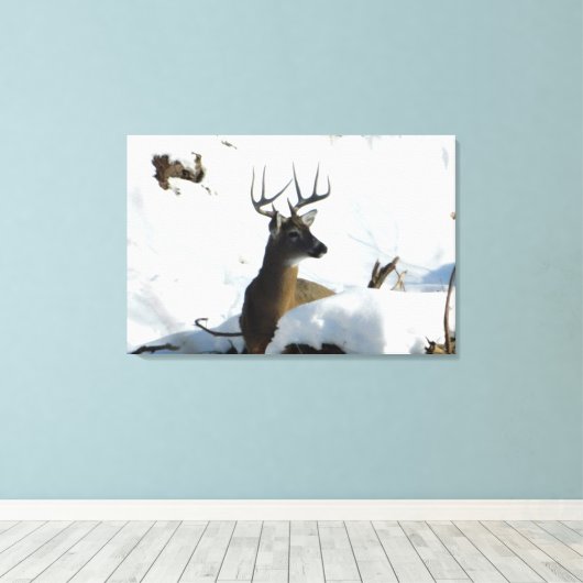 Whitetail Herten Winter Antlers Canvas Print (Insitu (Houten vloer))