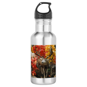 Whitetail in de herfst van de aluminiumwaterfles waterfles