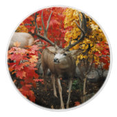 Whitetail in het najaar keramische knop (Voorkant)