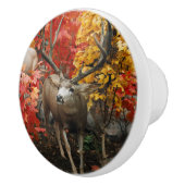 Whitetail in het najaar keramische knop (Rechts)