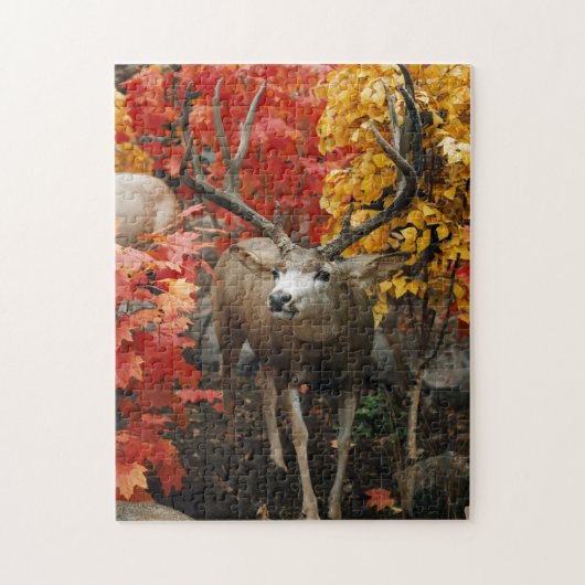 Whitetail in het najaar legpuzzel (Verticaal)