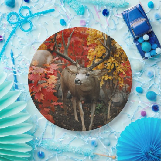 Whitetail in het najaar papieren bordje (Feest)