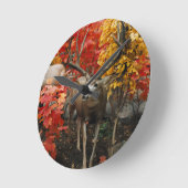 Whitetail in het najaar ronde klok (Hoek)
