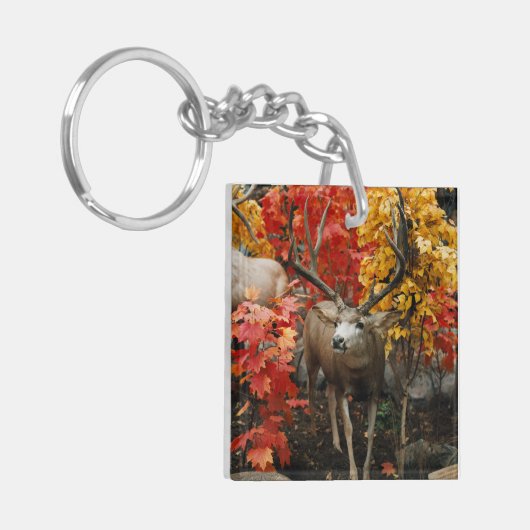 Whitetail in het najaar sleutelhanger (Voorkant Links)