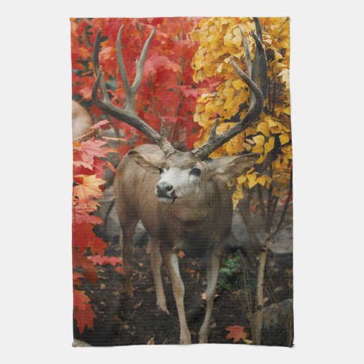 Whitetail in het najaar theedoek (Verticaal)