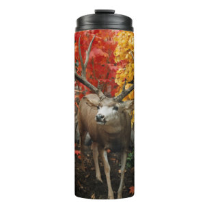 Whitetail in het najaar thermosbeker