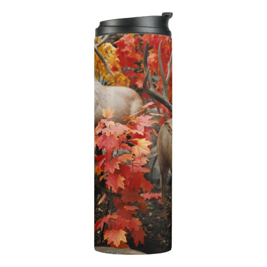 Whitetail in het najaar thermosbeker (Gedraaid links)