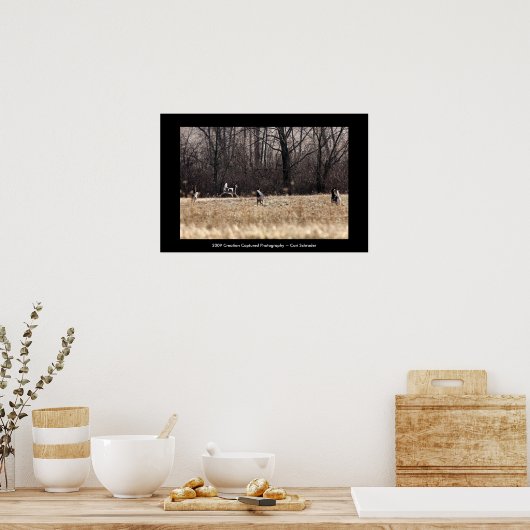 Whitetail-Poster uitvoeren Poster (Keuken)