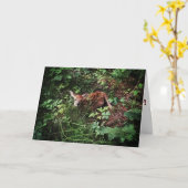 "Whitetail Woods Deer" herstelkaart Kaart (Gele Bloem)