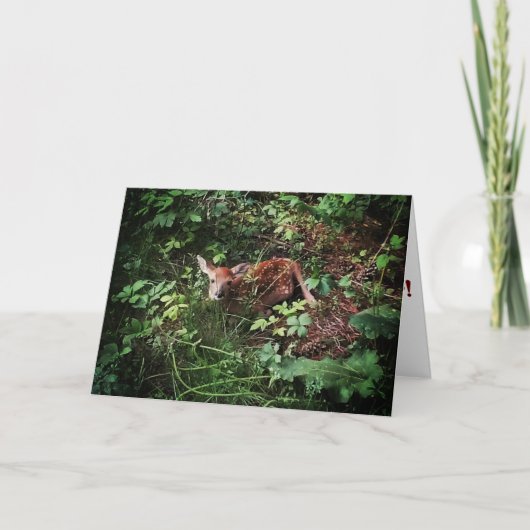"Whitetail Woods Deer" herstelkaart Kaart (Voorkant)