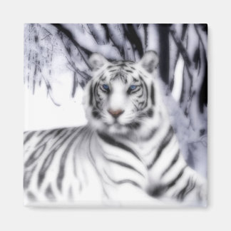 WhiteTiger Magneet