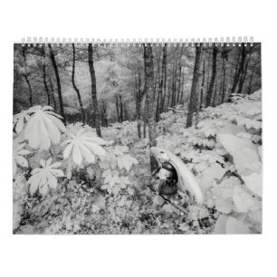 Whitewater 2016 kalender